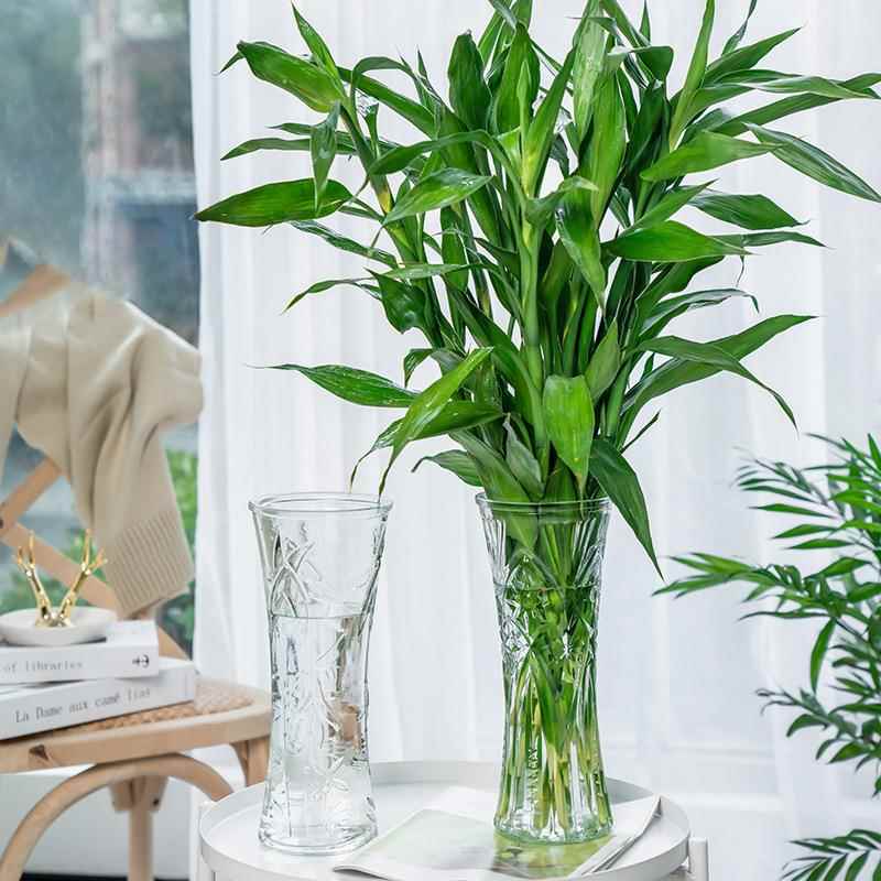 大号水晶玻璃花瓶透明简约富贵竹百合水培家居插花小清新摆件