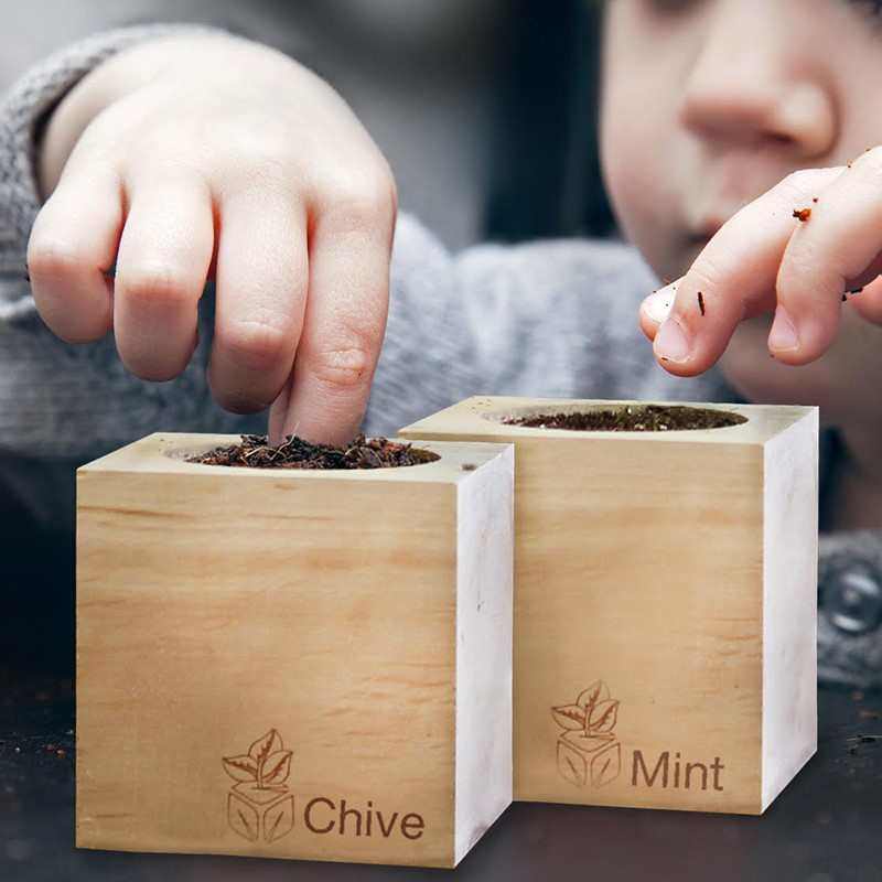 奥地利立方生态环保盆栽手工植物桌面盆栽绿植物办公室,鲜花速递/花卉仿真/绿植园艺,绿植,淘宝优惠券,粉丝福利购,淘宝优惠卷