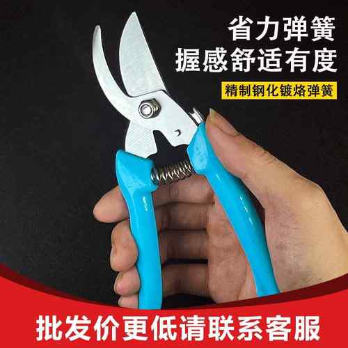 园林花剪园艺剪刀修枝摘果剪强力剪子不锈钢修枝剪多功能园林工具