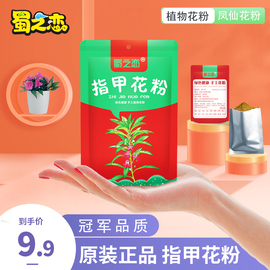 蜀之恋干花指甲花粉凤仙花粉小桃红粉植美甲级指甲粉红色红指甲粉