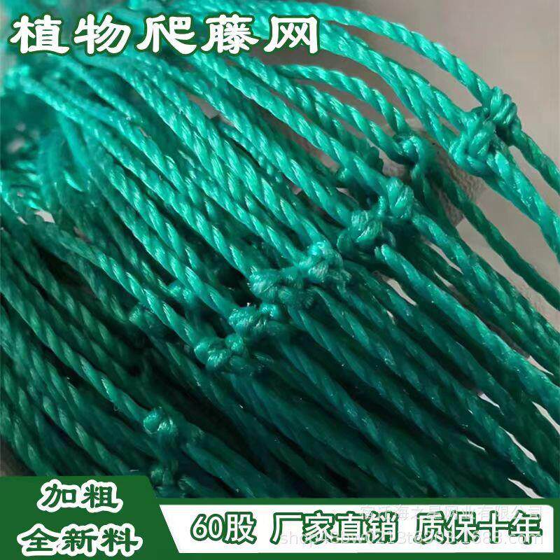 植物爬藤网攀爬网瓜果丝瓜苦瓜吊瓜葡萄豆角百香果藤蔓月季大棚网
