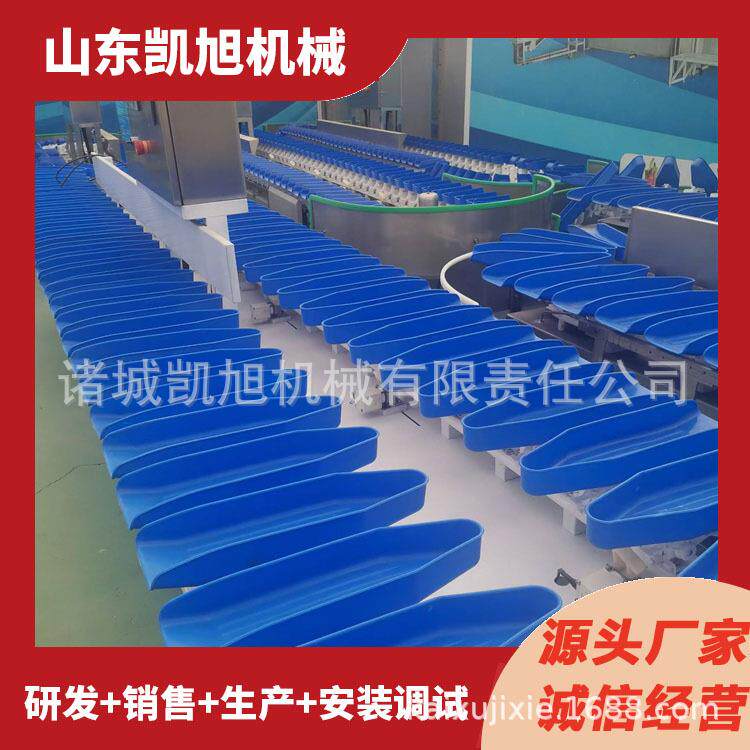 火龙果小型重量分选机称雾态称重分级设备莲DNM水果动重分选机