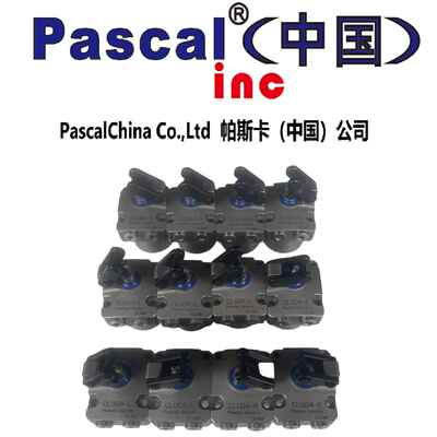 Pascal帕斯卡杠杆缸CLU02-F,CLU04--F,CLU06-F,CLU10-F,CLU16-F
