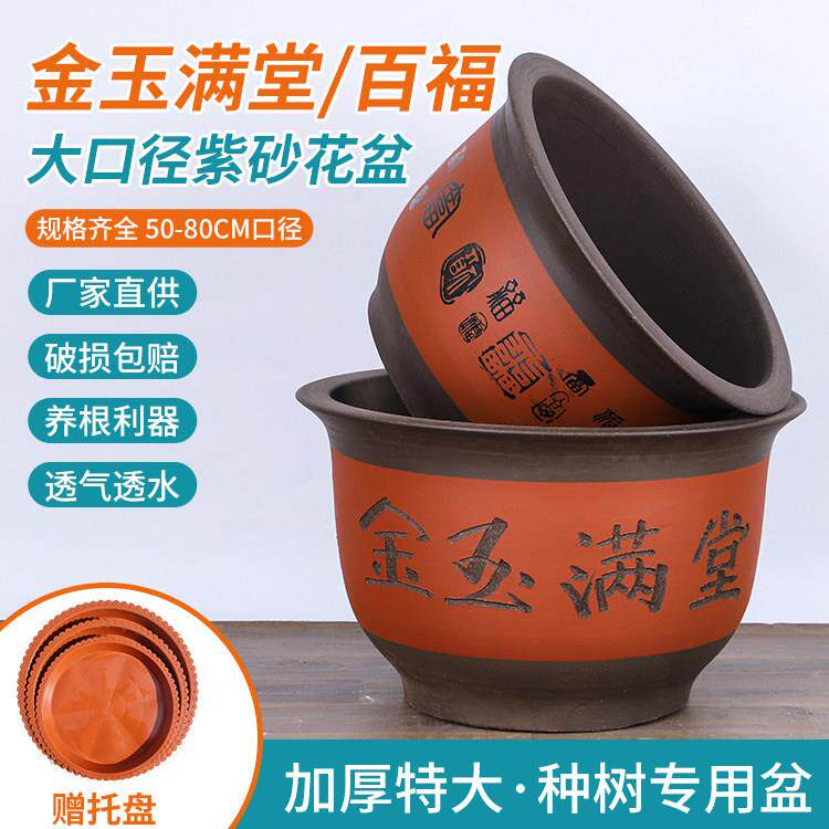 金玉满堂紫砂特大陶瓷花盆家用阳台兰花盆庭院铁树盆发财树盆景盆
