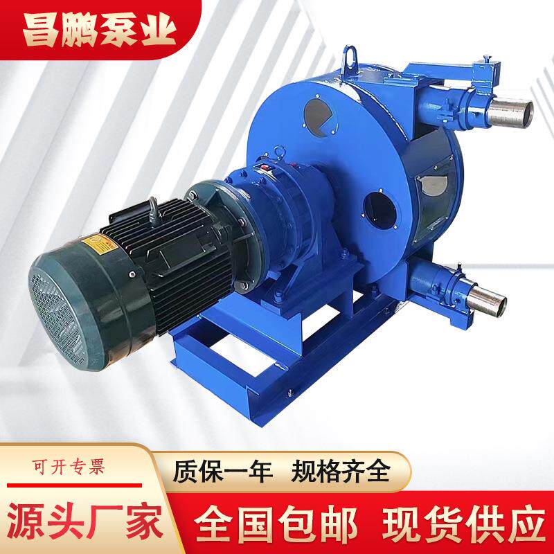 RGB75软管泵发泡水泥蠕动泵悬浮液颗粒杂质输送泵泵头大流量自吸