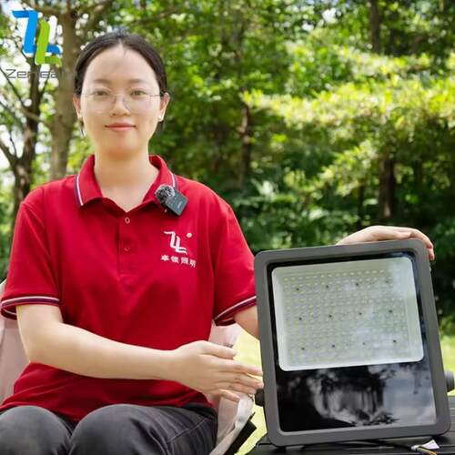 仿飞防水投光灯50w 00w 150w 200w300w400w600W smd led 户外超亮