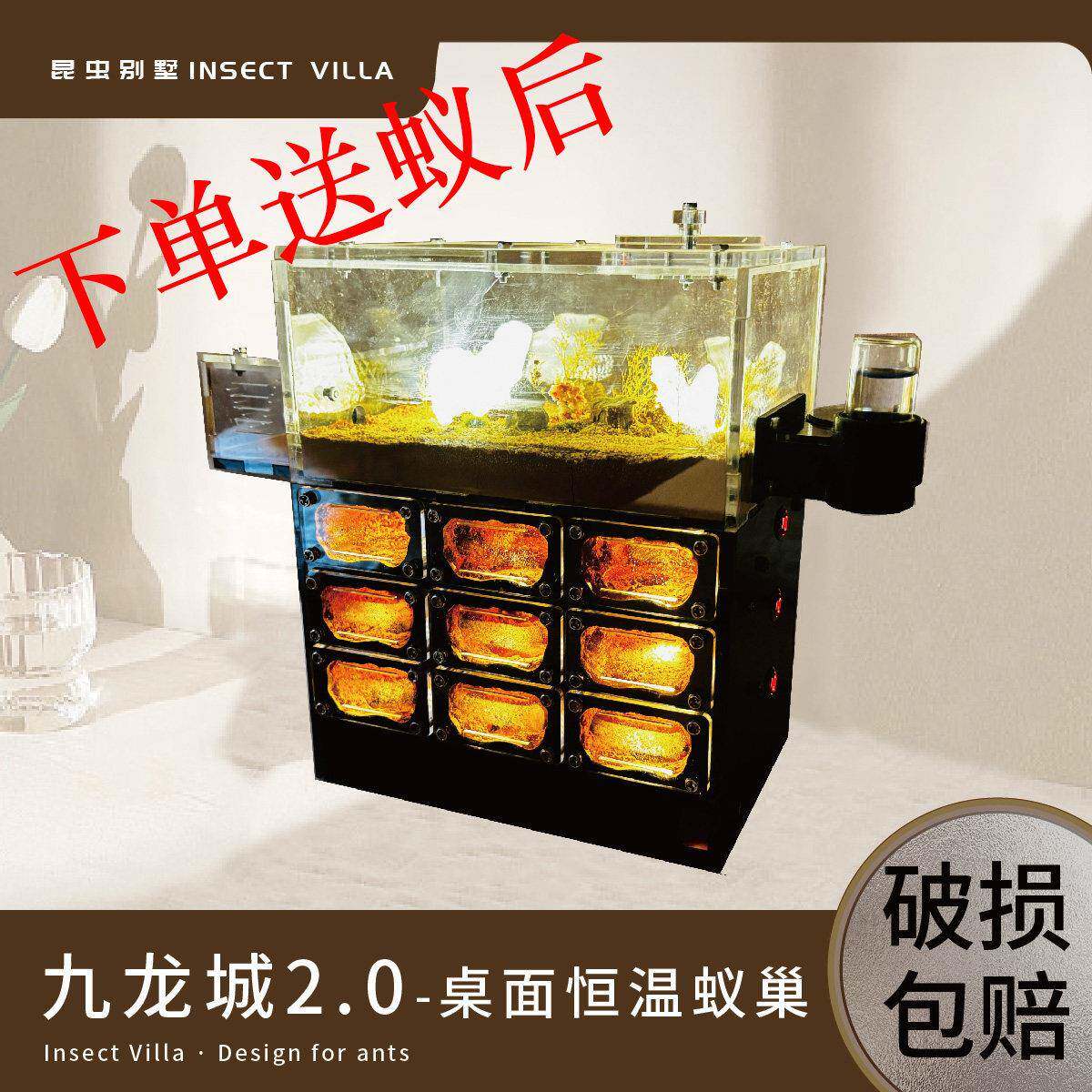九龙城桌面恒温蚂蚁巢穴饲养盒天空之城大型观察
