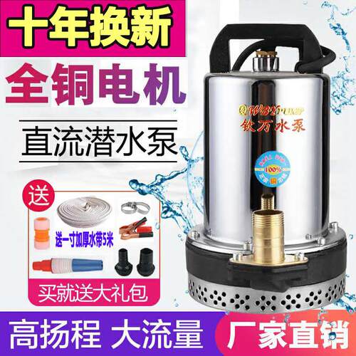 家用48V高扬程直流潜水泵船用12V24V48V60V72V电动车电动车抽水机