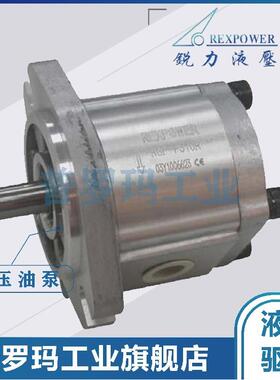 POA高压齿轮泵 RGP-F308RN 液压系统专用泵 工程机械RGP-F308RN