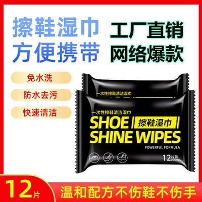 White Shoe Cleaning Wipes for Men and Women, Portable for St