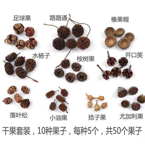 新款直销干花装饰棉花橡果松果树枝树叶莲蓬创意diy幼儿园手工环