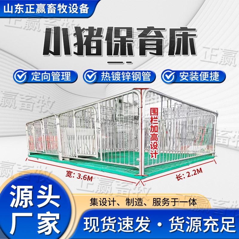 现货小猪保育床猪仔热镀锌挡板全复合板加厚保育床猪产床养殖设备
