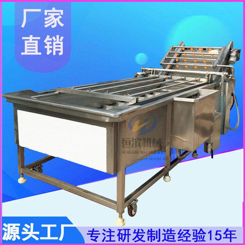 苹果杨梅气泡清洗机 蓝莓大枣梨果蔬大型清洗机生产厂家