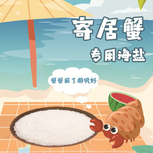寄居蟹海盐批发其它水族用具设备