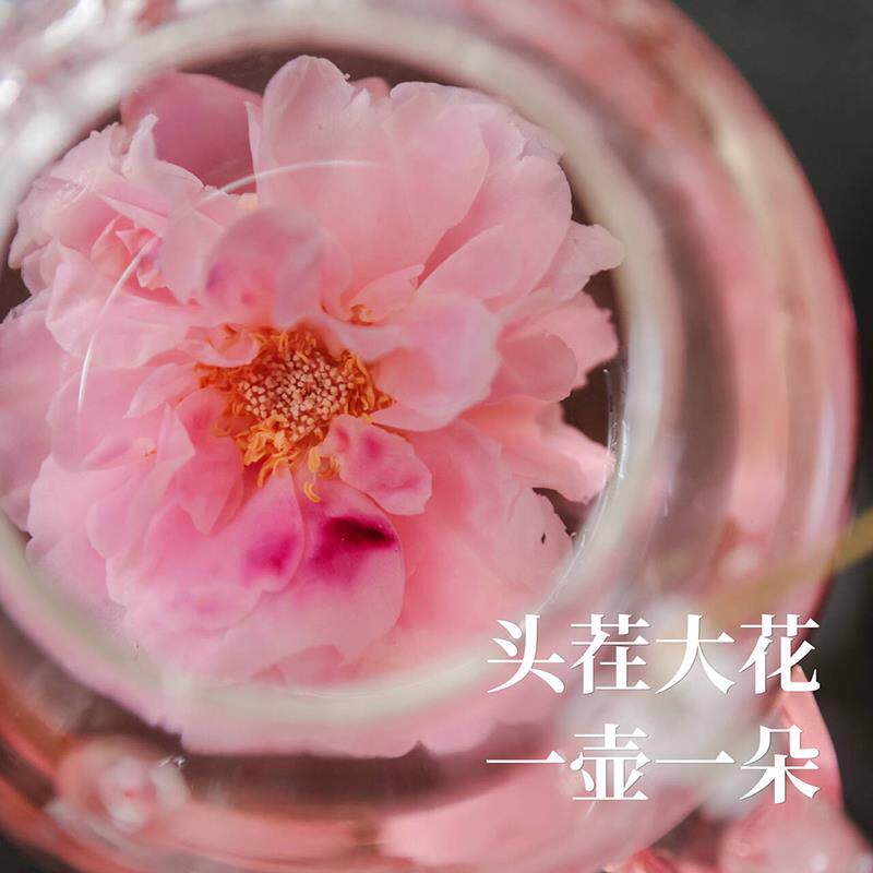 乐作 | 头茬大花 云南墨红玫瑰花冠 一杯一朵 花香浓 FD冻干/微波