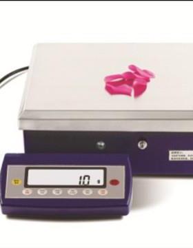 JD50K×1C电子分析天平