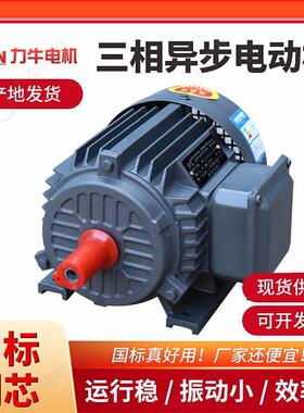 现货供应三相异步电机Y100L1-4级2.2KW Y112M2-4级-4KW