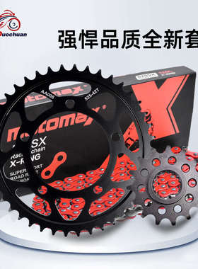 适配阿普利亚1100Tuono V4摩托车前后牙盘改装套链链轮油封链条