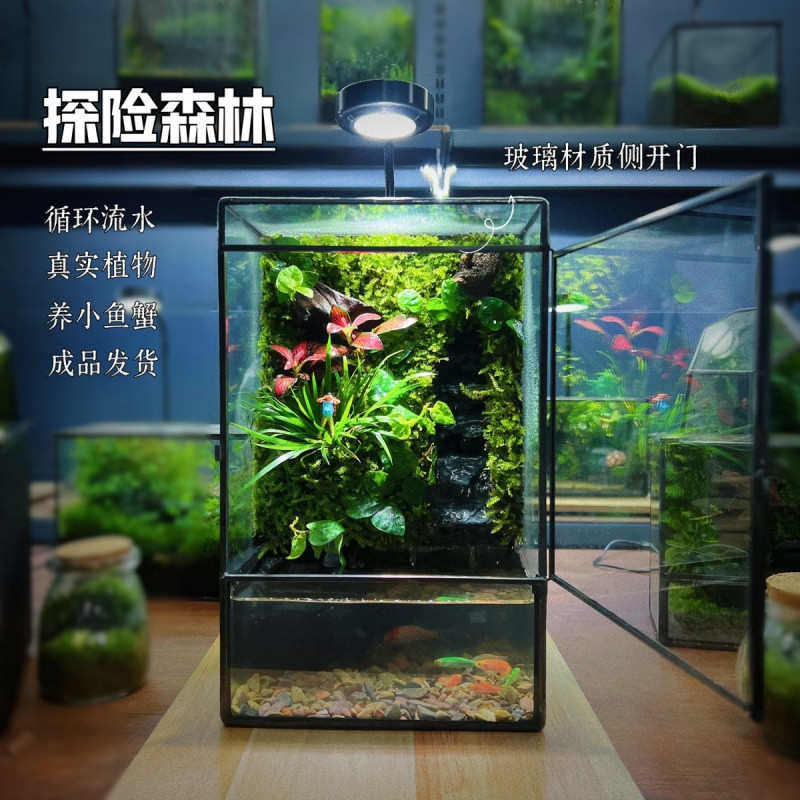 p9j创意造景雨林缸生态流水养鱼微景观桌面摆件鱼缸小型家用,宠物/宠物食品及用品,桌面缸,淘宝优惠券,粉丝福利购,淘宝优惠卷