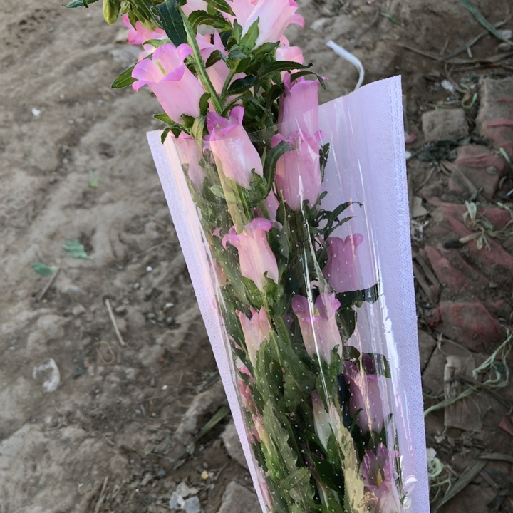 粉色风铃1把,2个订单包邮普通地区,偏远地区3个包邮