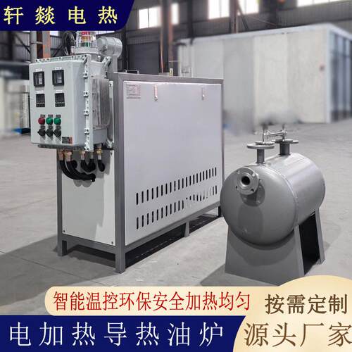 非标定制防爆导热油炉电热模温机反应釜配套加热设备化工行业油炉