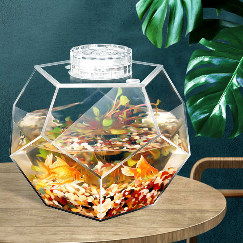透明迷你力办公室亚克生态瓶小型多边形桌面金鱼缸客厅鱼缸造景
