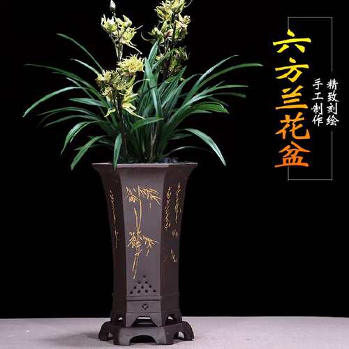 兰花盆专用花盆蝴蝶兰君子兰吊兰专用盆虎皮兰高端紫砂盆