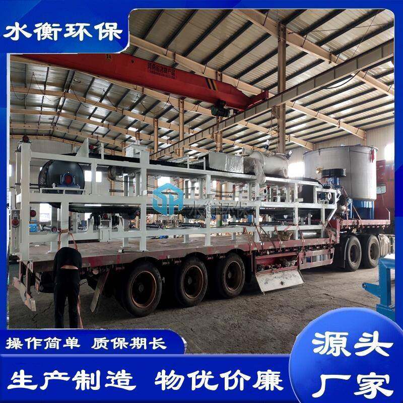 水衡环保生产厂家制造碳素厂石膏废水脱水机型号全质量