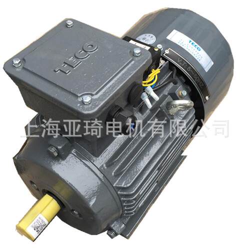 TEGH90L-4 AEEF2N---无锡东元电机有限公司 1.5KW-4卧式