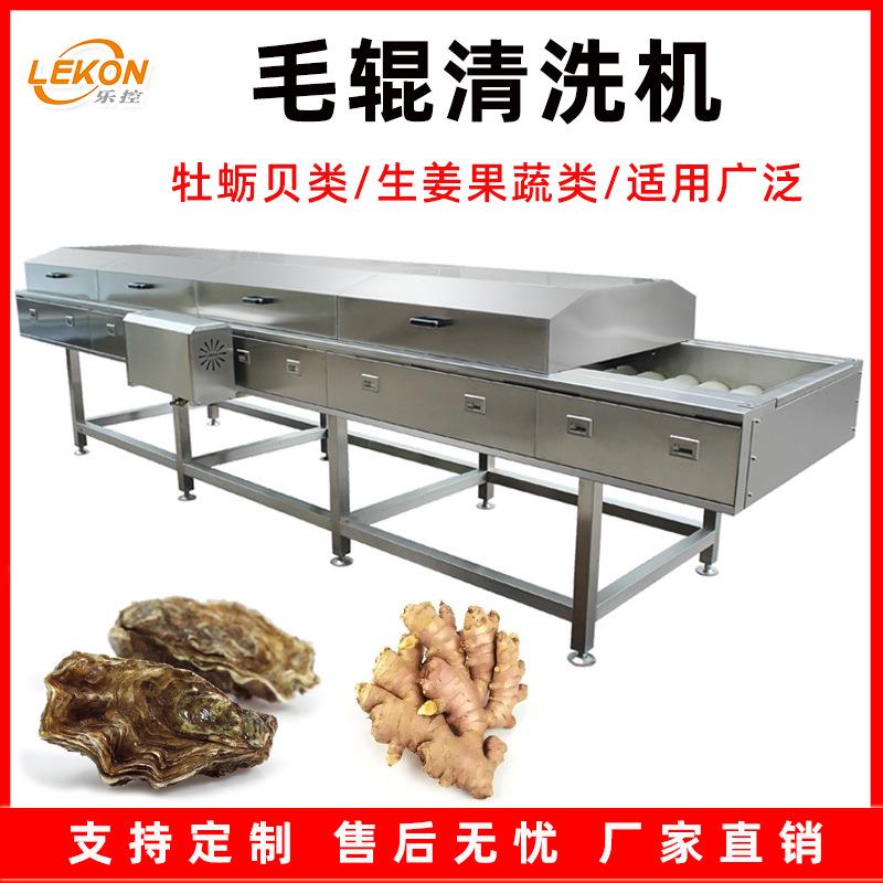 厂家供应牡蛎清洗机海蛎子生蚝高压平行毛辊清洗机大姜果蔬清洗机