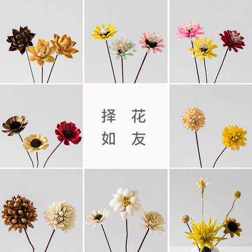 ins简约天然干花居家花瓶插花DIY手工真花装饰布景道具干花