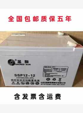 圣阳SP12-12 12V12AHUPS通用EPS直流屏专用阀控式铅酸免维护蓄电