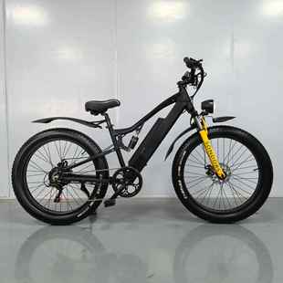 CE认证八方48V500W胖胎雪地车48V20AH电动助力自行车
