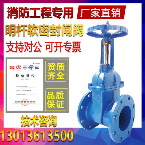 Z41X-16Q弹性座封明杆软密封法兰闸阀DN50 65 80 100 150 200 300