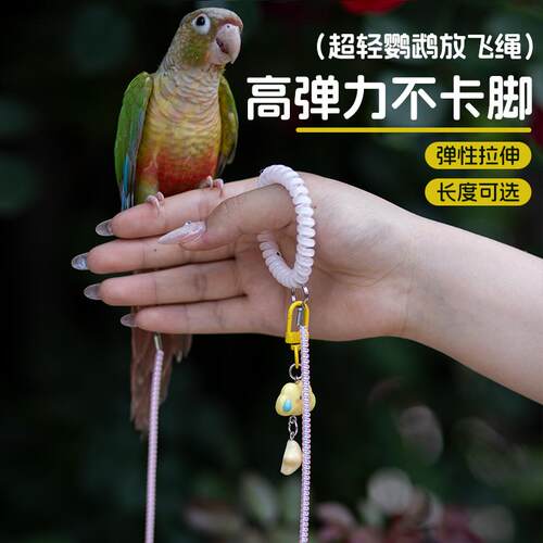 鹦鹉专用放飞绳超轻玄凤小太阳外出牵引绳小鸟户外不伤脚遛鸟神器