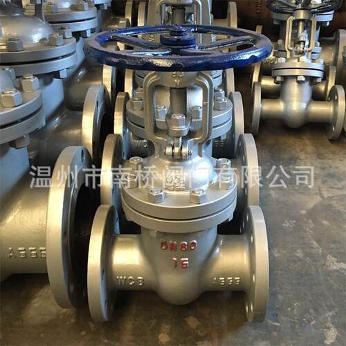 Z41H铸钢闸阀温州厂家供应蒸汽用法兰闸阀DN100