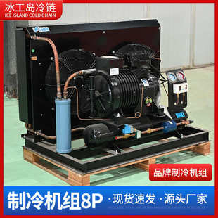 低温水循环制冷冷水机全套食品冷冻制冷设备保鲜设备制冷机组8P