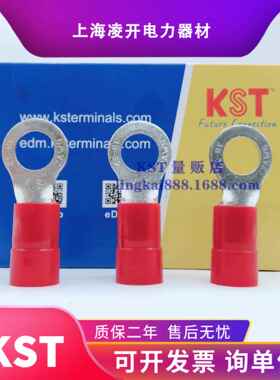 KST健和兴RNYBL RNYBS38-8/6/5/10/11/12/16/18/24尼龙端头ROHS