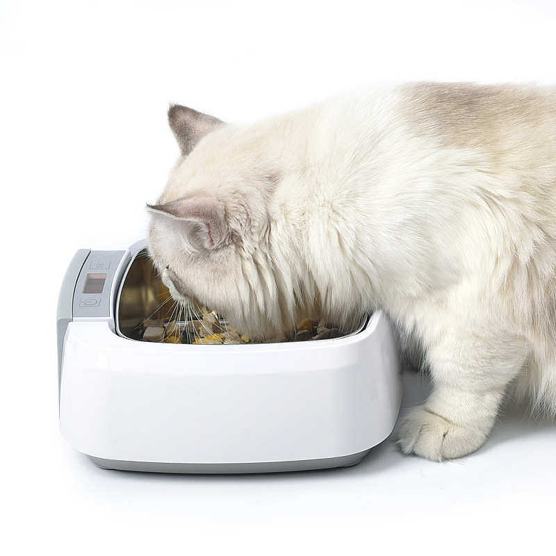 恒温喂食狗食碗宠物保温加热狗碗盆狗碗盆碗猫碗猫咪碗喝水智能狗