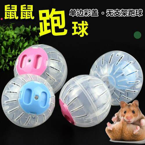 Silent Exercise Wheel for Small Pet Hamsters - Transparent C