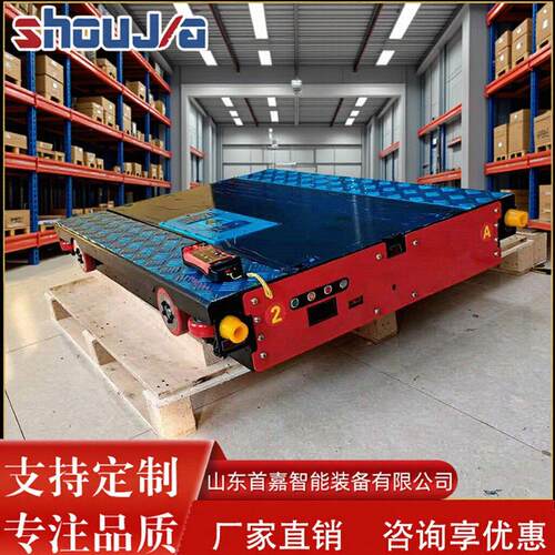 货架穿梭车非标车RGV常温冷库网络型车货架配套车物流用穿梭车