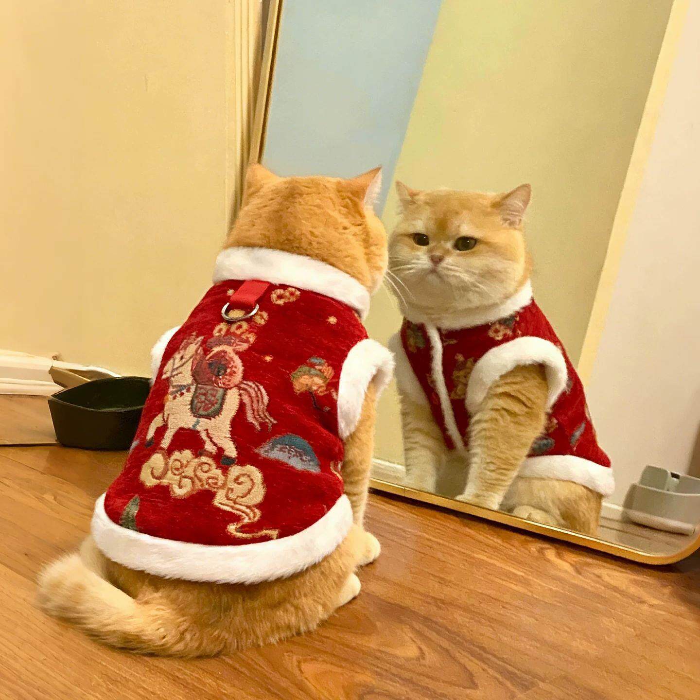 宠物唐装保暖加厚冬季猫猫衣服金渐层布偶小猫新年国风猫咪拜年服