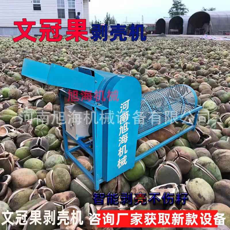 新款文冠果剥壳机文官果木瓜龙果龙瓜去壳取籽设备脱壳分离加工机