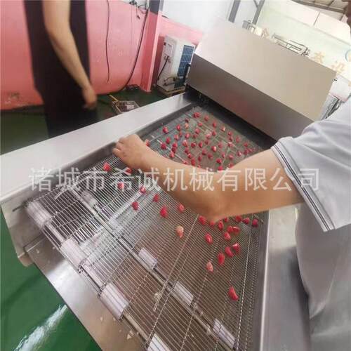 搭全自动脆皮巧克力涂层机 NZZ克力冷却隧道巧接 巧克力器融化罐