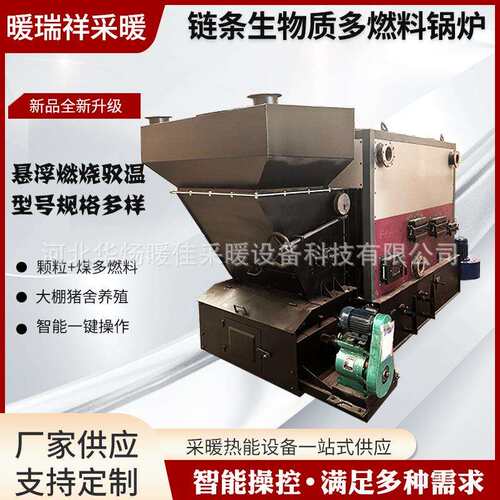 链条生物质多燃料锅炉工业全自动质环保型蒸汽发生器节能