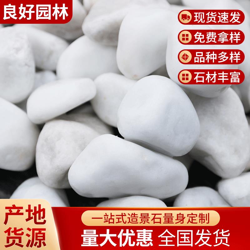 广东3-5公分白色鹅软石小雨花石鹅卵石头铺地按摩鹅暖石