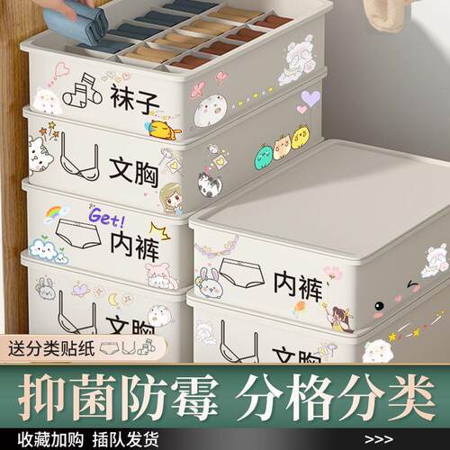 Underwear Storage Bag Box for Socks and Underwear - 3-in-1 C