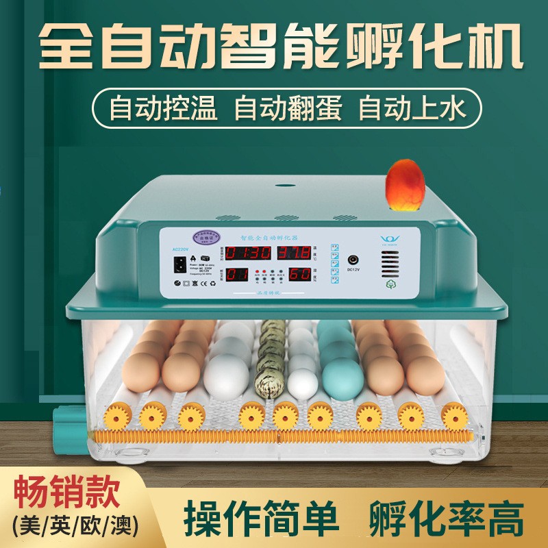 孵化器全自动小型家用型智能小鸡农用防护器具