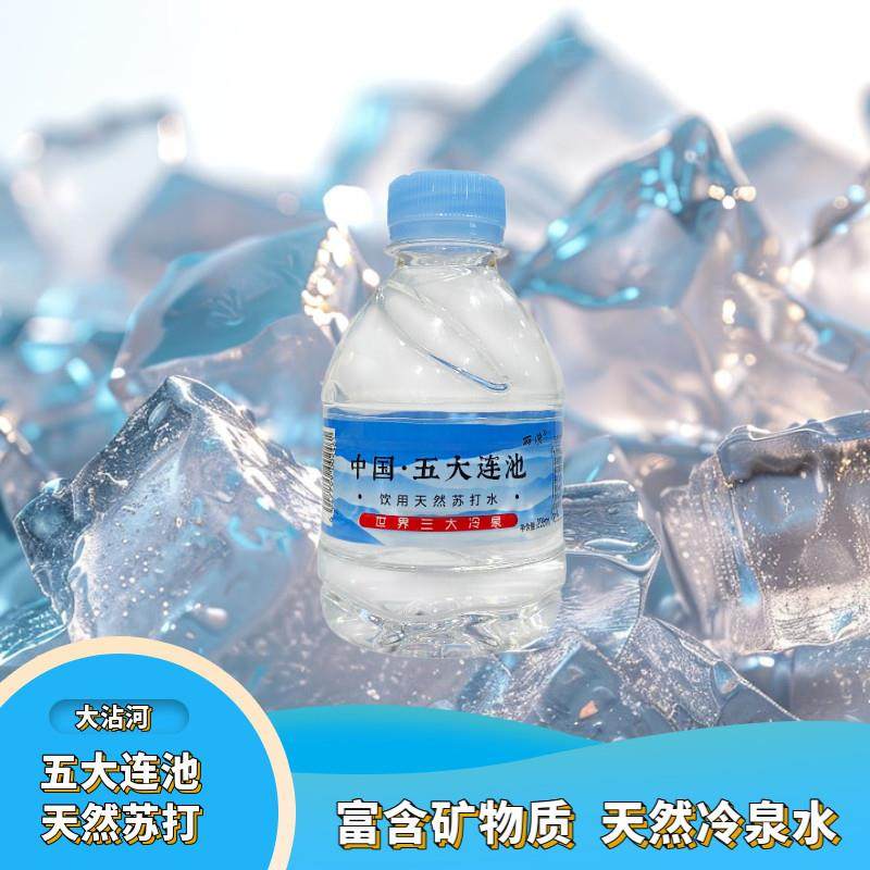 五大连池天然苏打水弱碱性矿泉水冷泉水整箱小瓶正品孕妇儿童老人,咖啡/麦片/冲饮,苏打水,淘宝优惠券,粉丝福利购,淘宝优惠卷