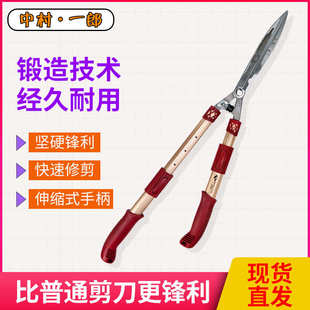 中村一郎篱笆剪伸缩大力剪绿篱剪绿化草坪剪冬青修枝剪园艺整枝剪